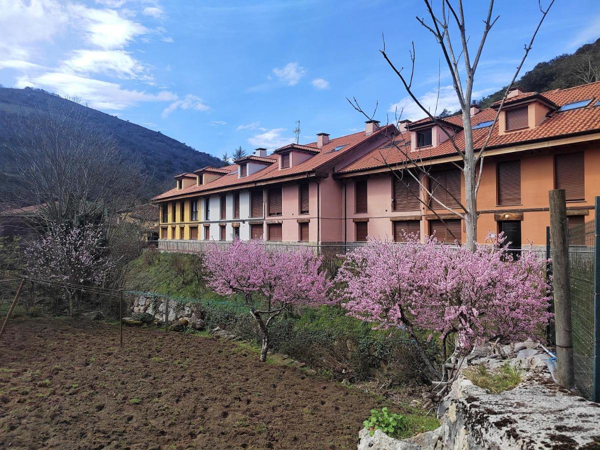 Appartamento Cabrales Sol Carrena de Cabrales Esterno foto