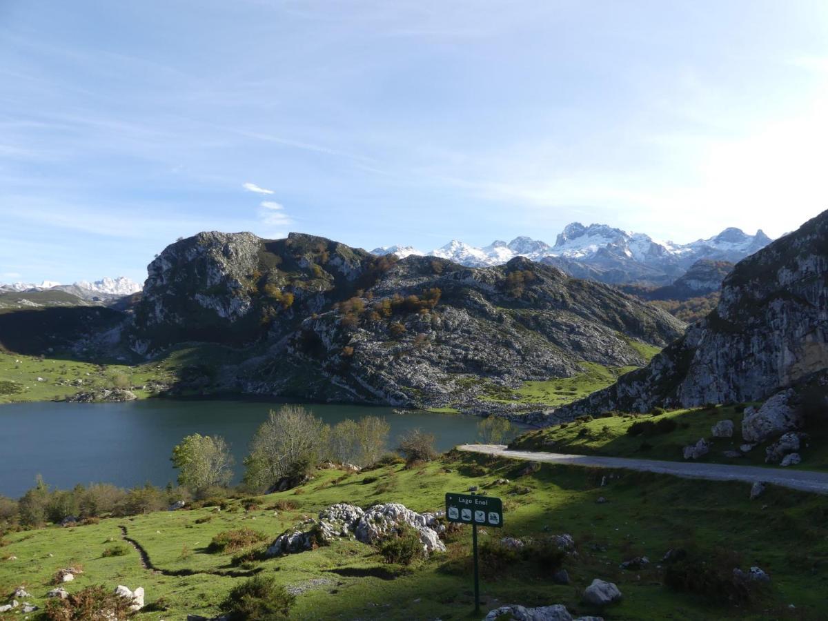 Appartamento Cabrales Sol Carrena de Cabrales Esterno foto